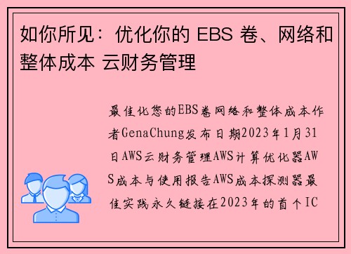 如你所见：优化你的 EBS 卷、网络和整体成本 云财务管理